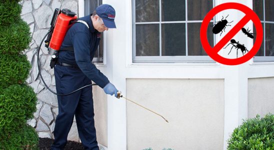 Hafik Gümüşkurt İlaçlama böcek ilaçlama ve haşere kontrolü — ilaclama-tr.com